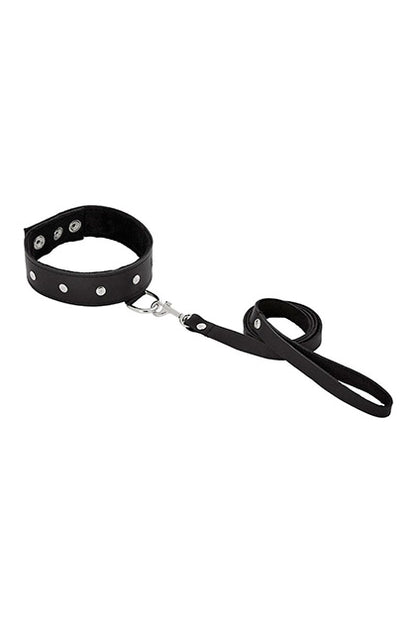 SPORTSHEETS - LEATHER LEASH & COLLAR