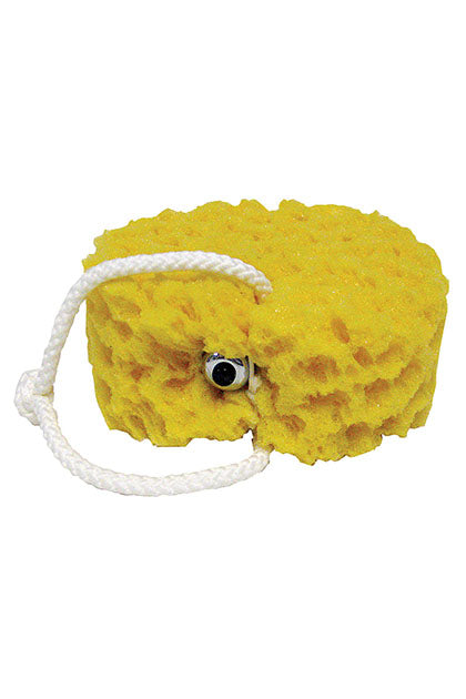 VIBRATING FOAM SEA SPONGE