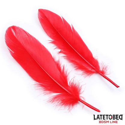 LATETOBED BDSM LINE - 3 PIECES BONDAGE SET CUFFS, EYE MASK AND FEATHERS