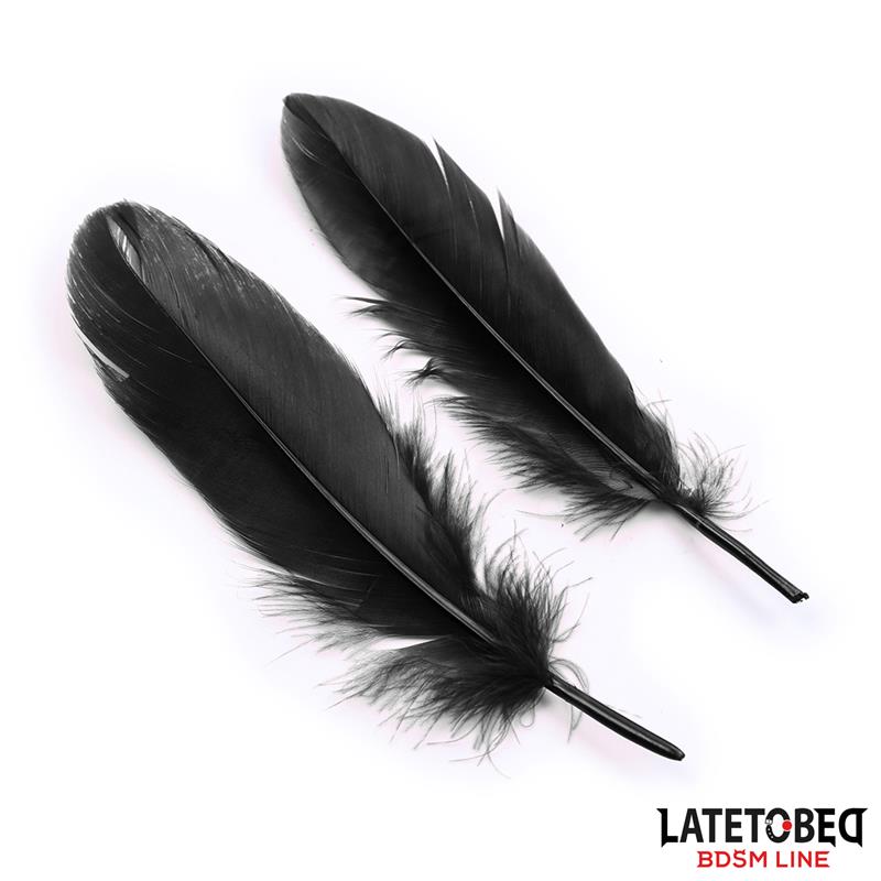 LATETOBED BDSM LINE - 3 PIECES SET MASK, HANDCUFFS AND FEATHERS BLACK