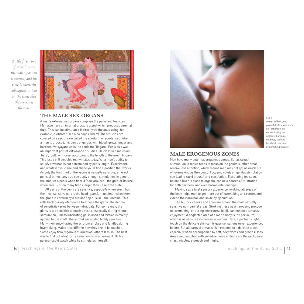 THE NEW KAMA SUTRA