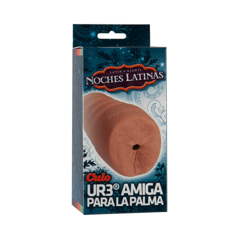 NOCHES LATINAS UR3 PALM PAL ASS