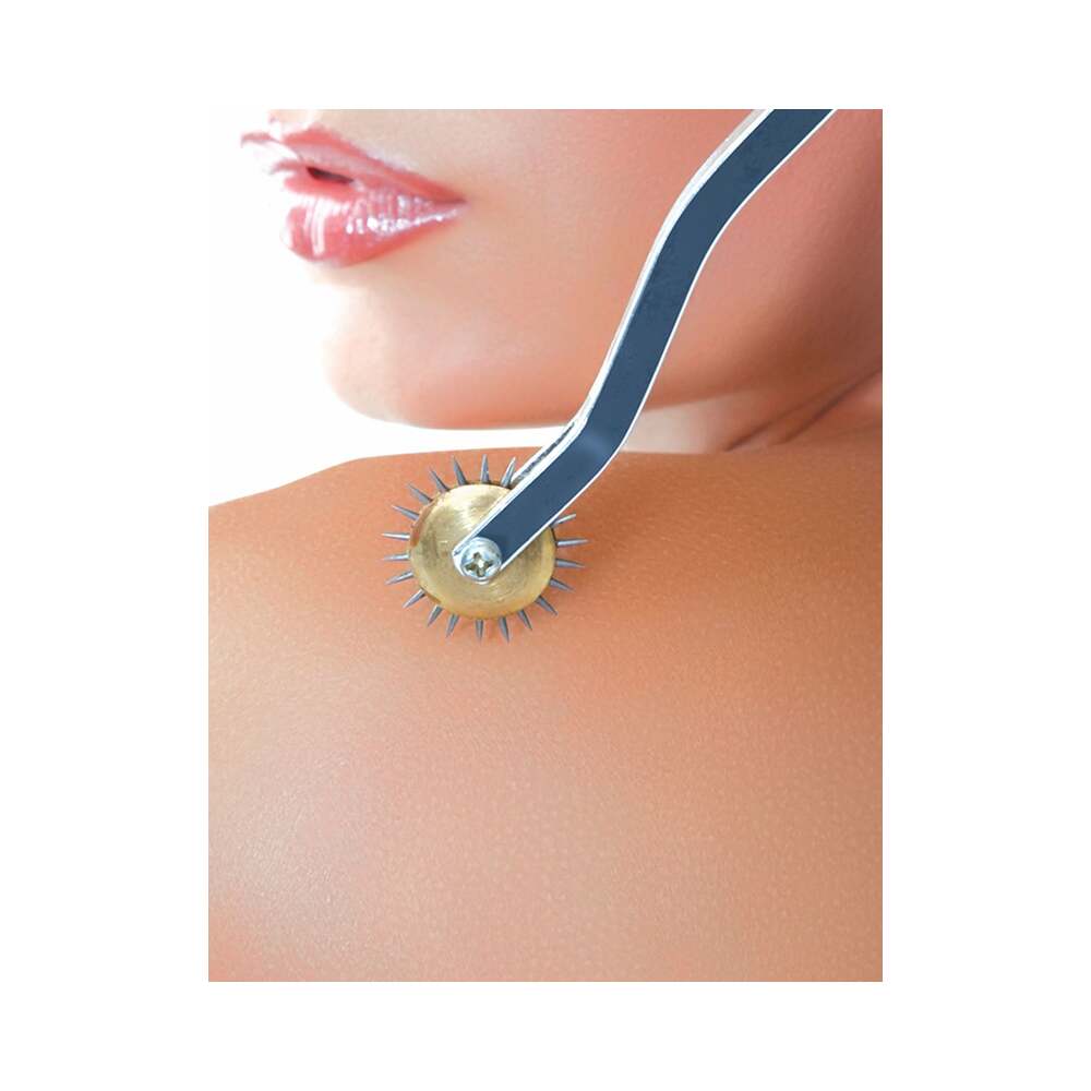 FETISH FANTASY SERIES DELUXE WARTENBERG WHEEL SILVER/BLACK