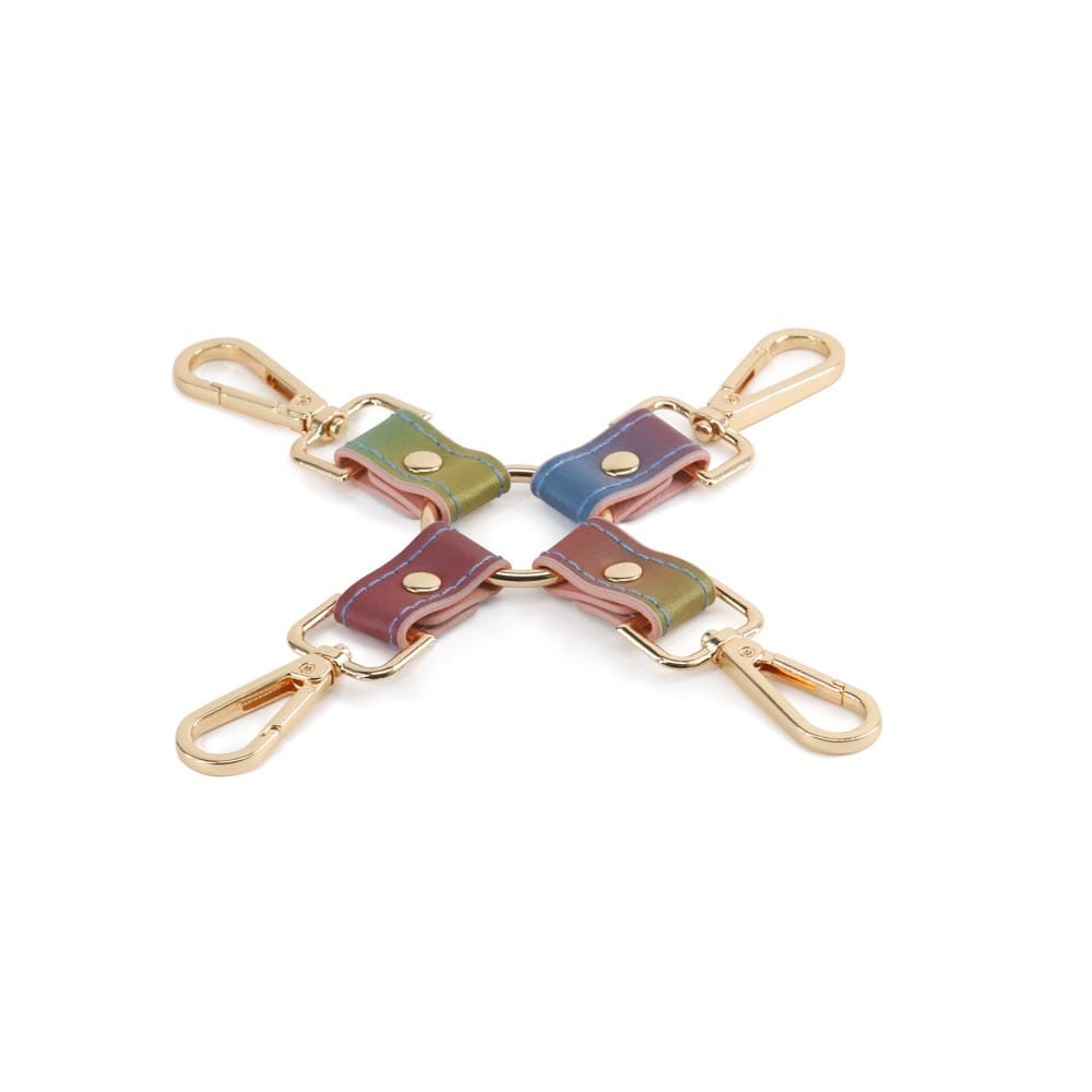 NS TOYS - SPECTRA BONDAGE - HOGTIE - RAINBOW_B15O25_2