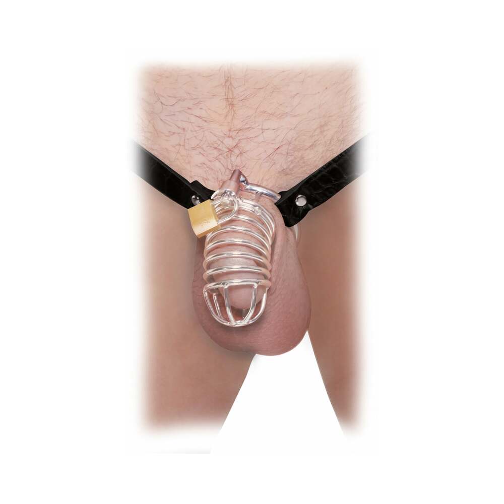 FETISH FANTASY EXTREME EXTREME CHASTITY BELT LOCKING COCK CAGE SILVER/BLACK