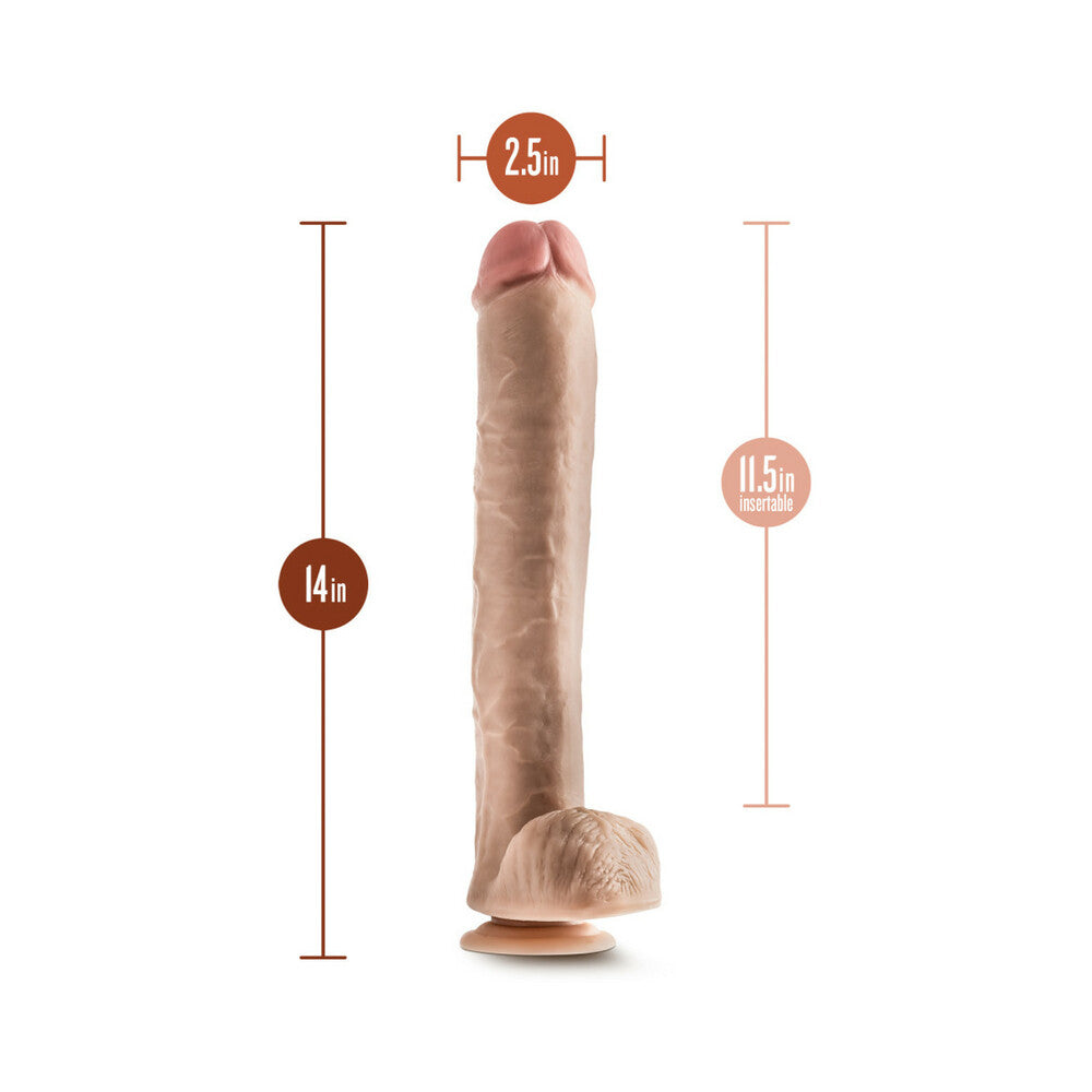BLUSH - HUNG RIDER BRUNO REALISTIC 14 IN. DILDO WITH BALLS BEIGE