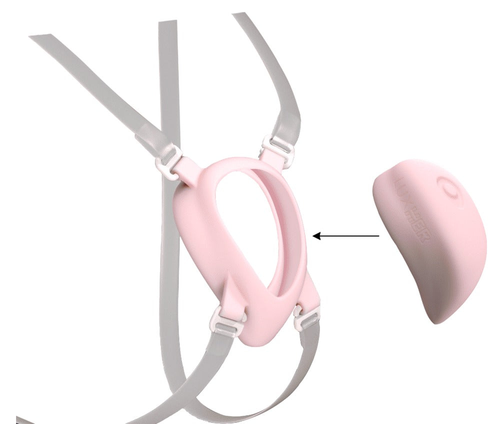 LUXUS - HARNESS