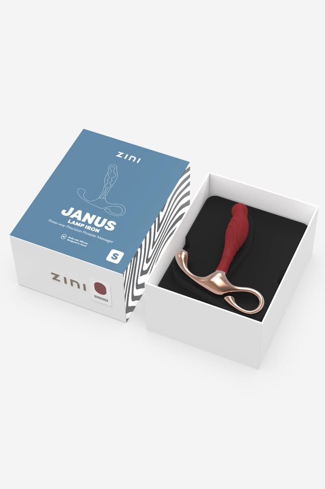 ZINI - ZINI JANUS LAMP IRON PROSTATE MASSAGER S_B15O25_4