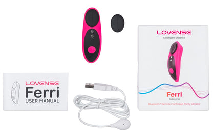 LOVENSE - FERRI
