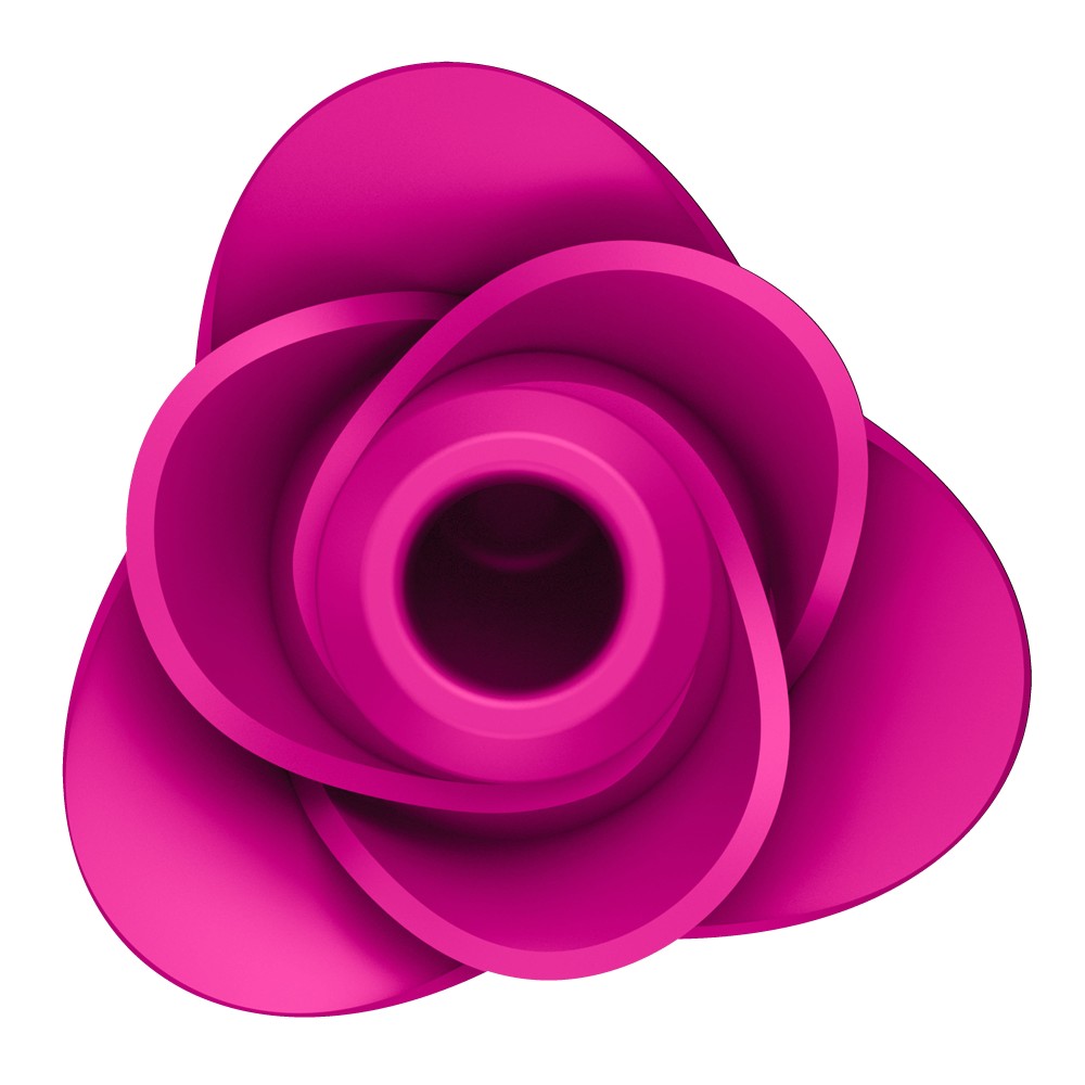 SATISFYER - PRO 2 MODERN BLOSSOM