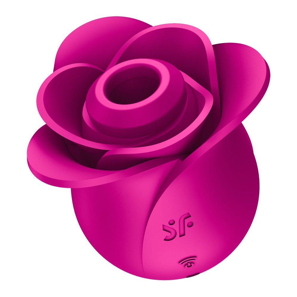 SATISFYER - PRO 2 MODERN BLOSSOM