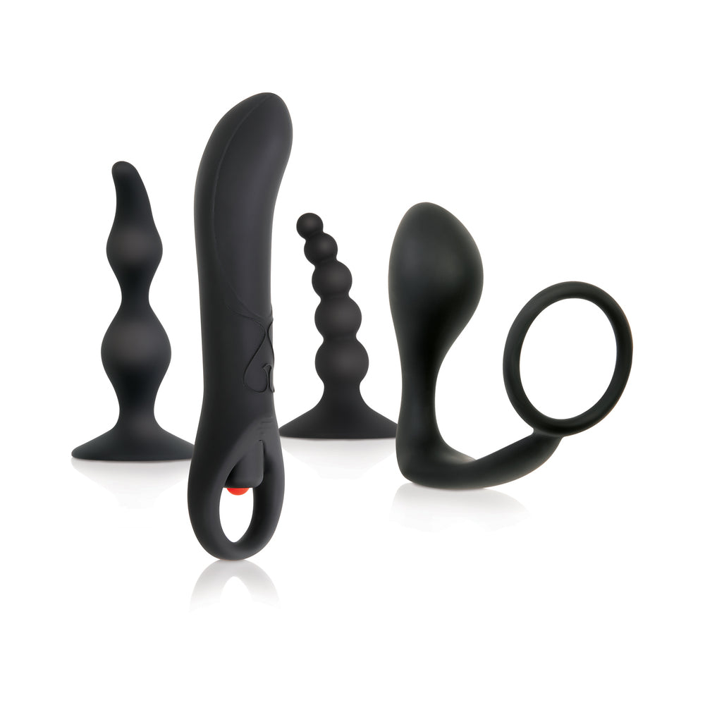ZERO TOLERANCE INTRO TO PROSTATE KIT 4-PIECE ANAL PLAY SET WITH DVD