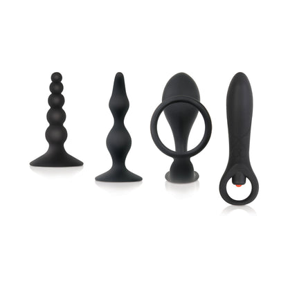 ZERO TOLERANCE - INTRO TO PROSTATE KIT 4-PIECE ANAL PLAY SET WITH DVD