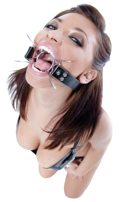 PIPEDREAM - FETISH FANTASY EXTREME - SPIDER GAG  SILVER/BLACK