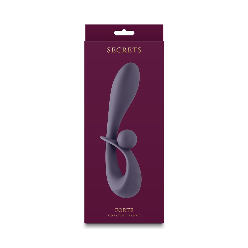 NS TOYS - SECRETS - FORTE - GRAY