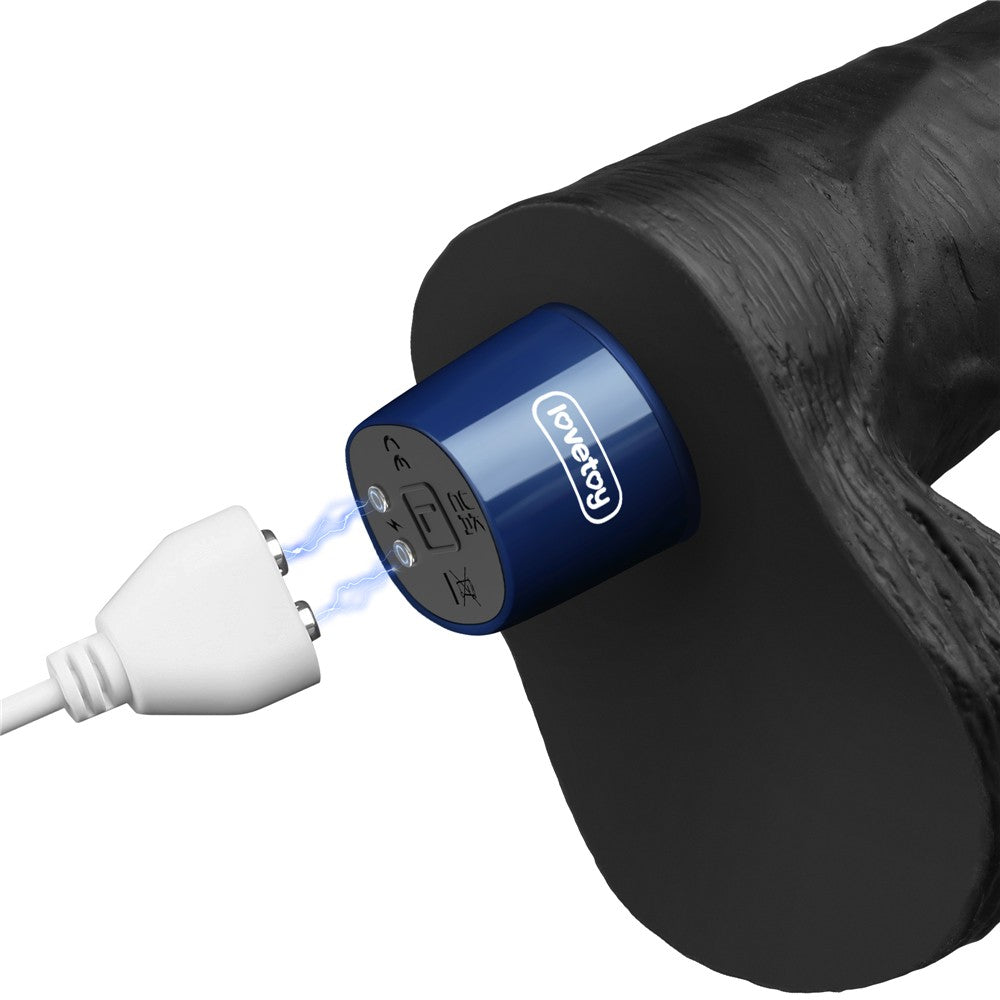 LOVETOY - 9" REAL SOFTEE RECHARGEABLE VIBRATING DILDO(BLACK)_B15O50_4