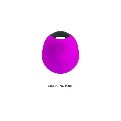 PRETTY LOVE - PRETTY LOVE PAUL PURPLE