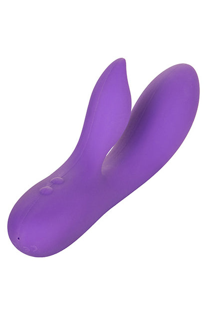 Silhouette S19 - Purple