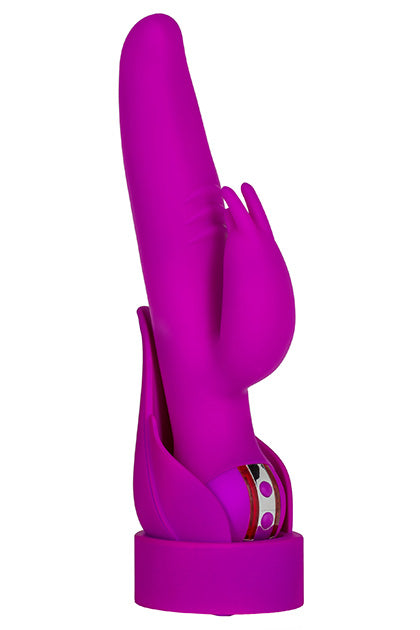CALEXOTICS - VANITY BY JOPEN - VR12