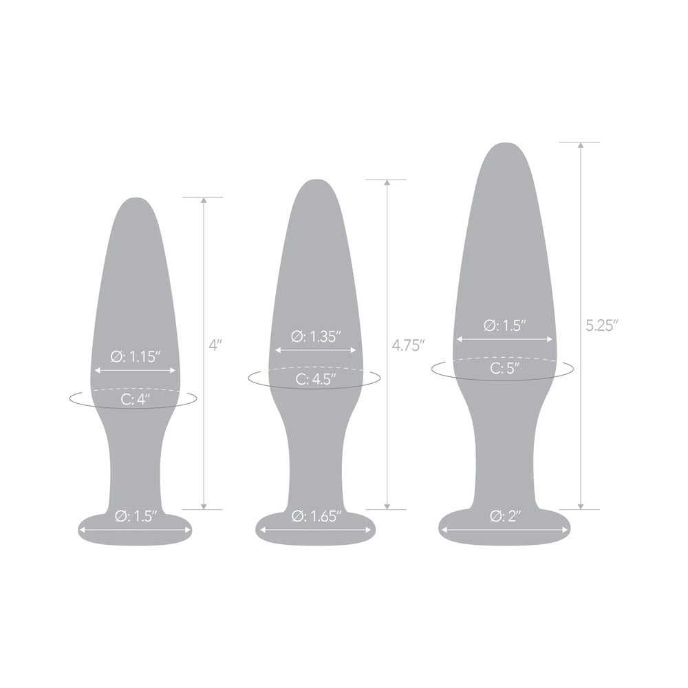 ELECTRIC EEL - GLAS 3-PIECE GLASS ANAL PLUG TRAINING SET