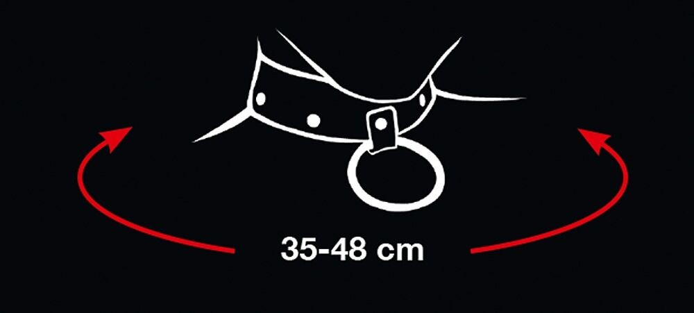 ORION - BAD KITTY - BAD KITTY COLLAR AND LEASH