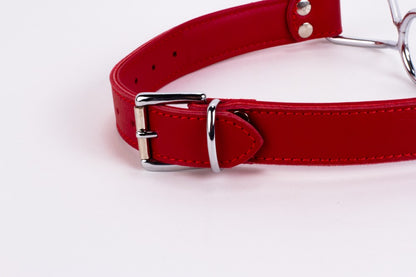 DEVIL STICKS - CALF SOFTY LEATHER TOP AND LAMB LEATHER PADDING WITH STAINLESS STEEL MOUTH PIECE RED