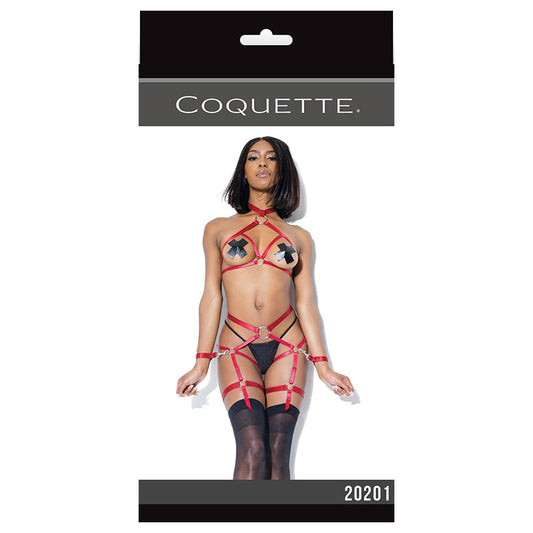 DARQUE HARNESS TOP AND CROTCHLESS PANTY MERLOT
