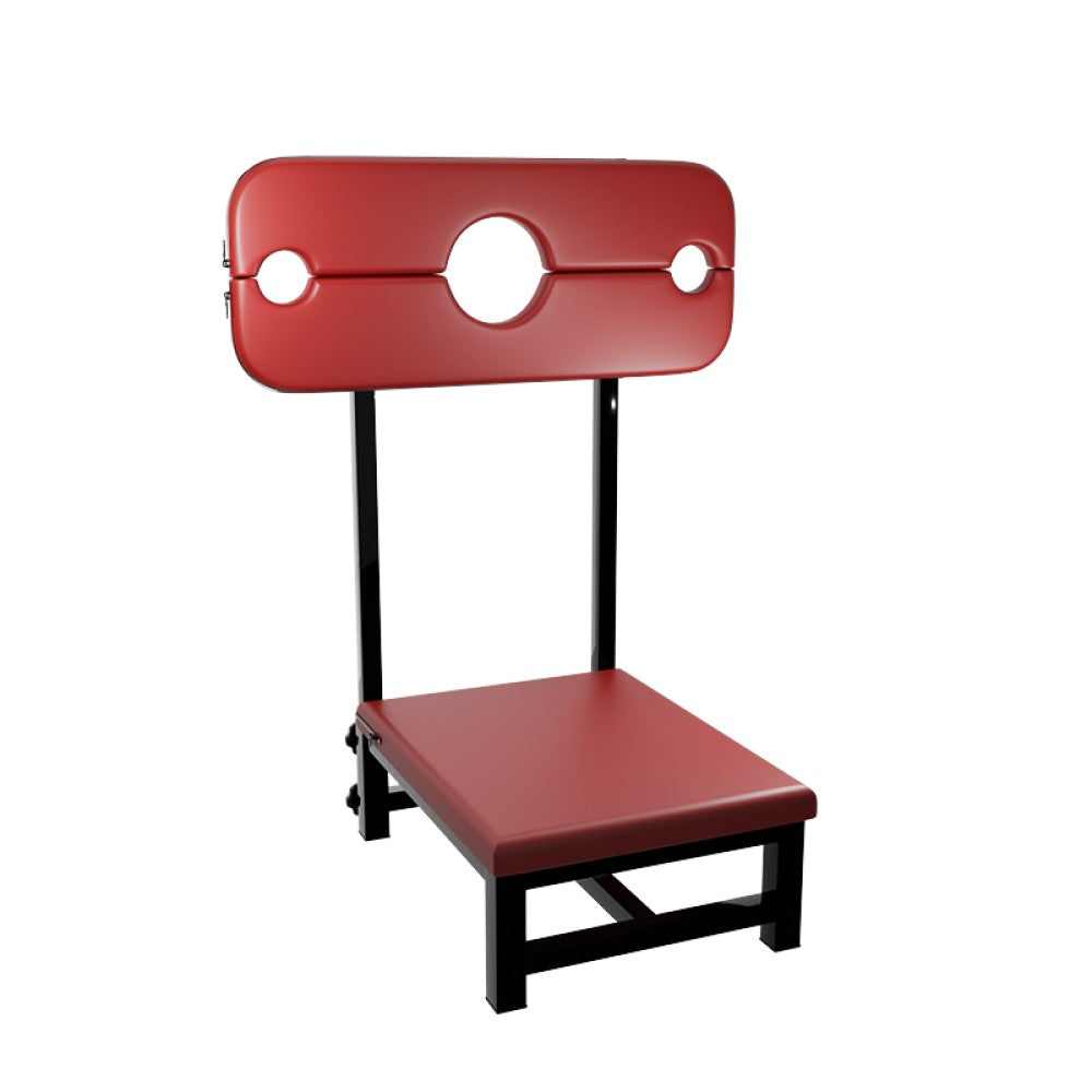 MISTRESS - SM CHAIR RED