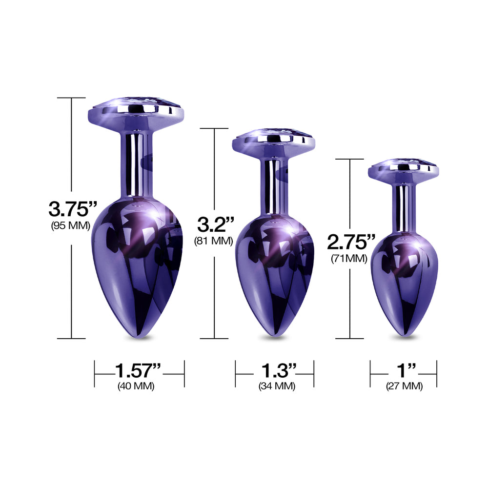 GLOBAL NOVELTIES - NIXIE BUTT PLUG TRAINER SET 3 PIECE METALLIC