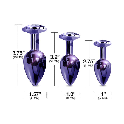 GLOBAL NOVELTIES - NIXIE BUTT PLUG TRAINER SET 3 PIECE METALLIC