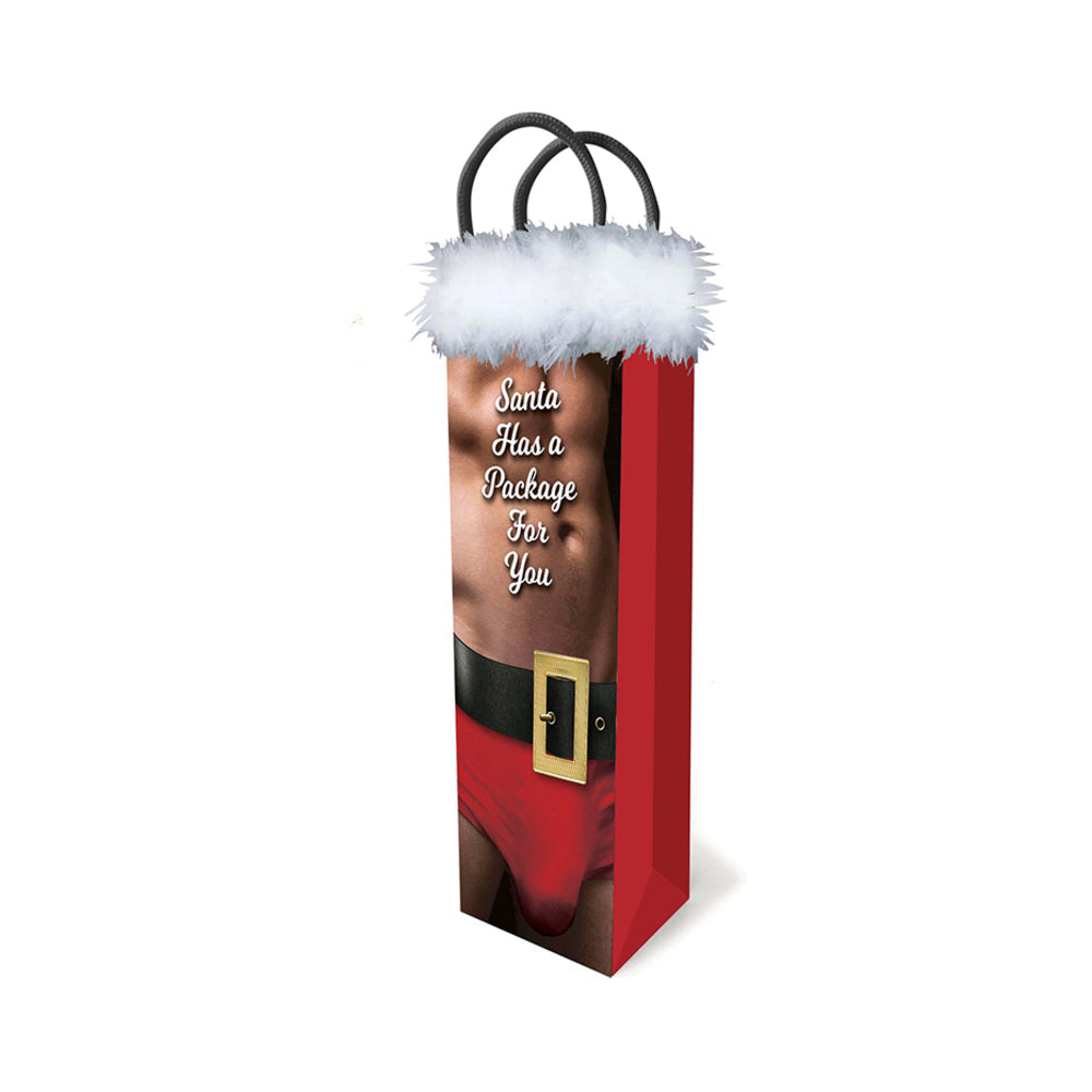 SANTA HAS A BIG PACKAGE FOR YOU GIFT BAG