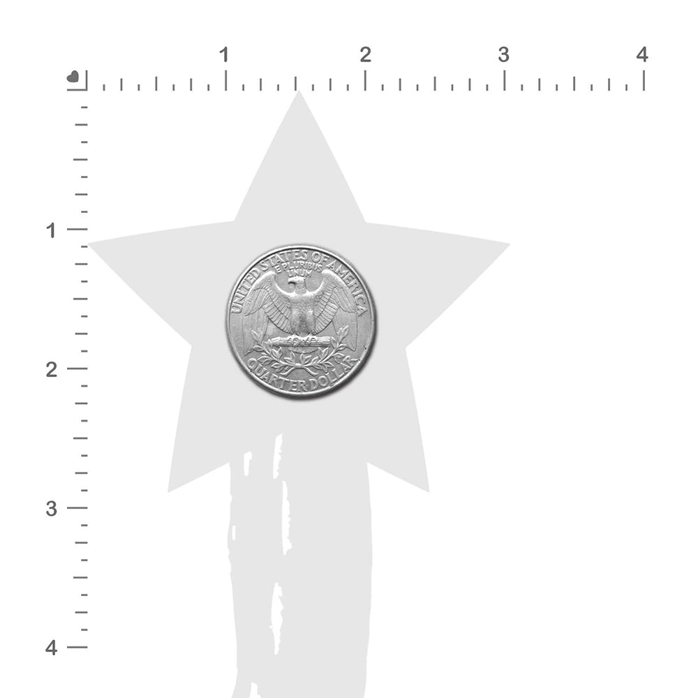 TASSEL PASTIES: BLACK SPARKLE STAR PASTEASE WITH LONG FRINGE NIPPLE PASTIES