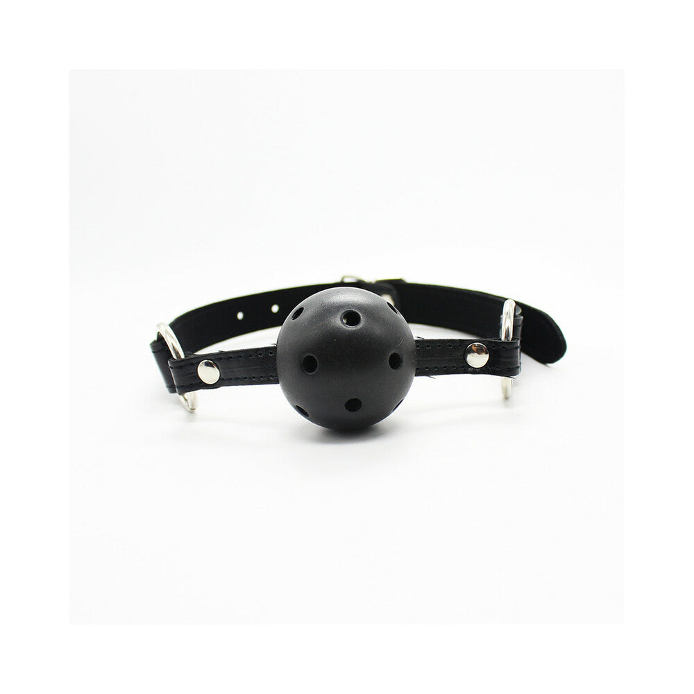 PLE''SUR - 12 PIECE EVERYTHING BONDAGE KIT