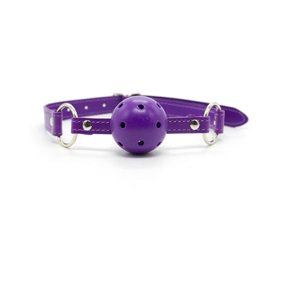 PLE''SUR 12-PIECE EVERYTHING BONDAGE KIT PURPLE
