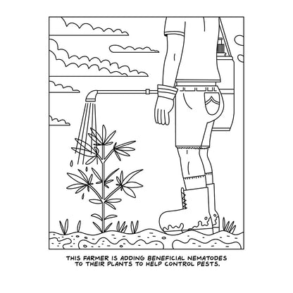 WOOD ROCKET - A VISIT TO THE CANNABIS FARM COLORING BOOK