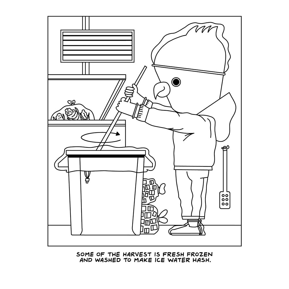 WOOD ROCKET - A VISIT TO THE CANNABIS FARM COLORING BOOK