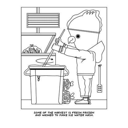 WOOD ROCKET - A VISIT TO THE CANNABIS FARM COLORING BOOK