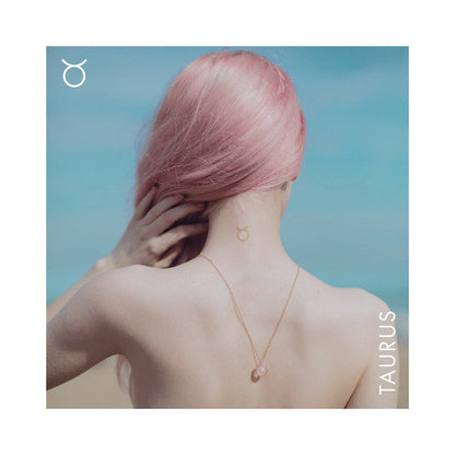 BIJOUX INDISCRETS HOROSCOPE KIT TAURUS