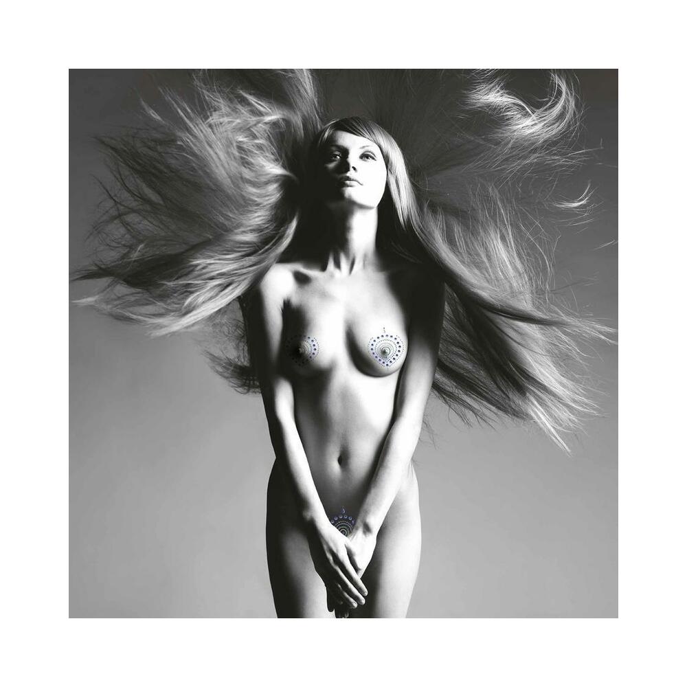 BIJOUX - INDISCRETS FLAMBOYANT BLACK&SILVER