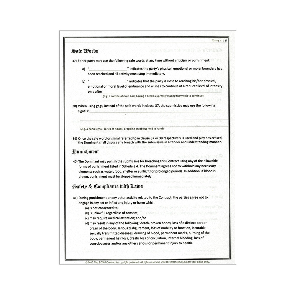 BEDNAR INTERNATIONAL - BDSM CONTRACT