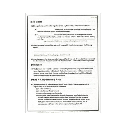 BEDNAR INTERNATIONAL - BDSM CONTRACT