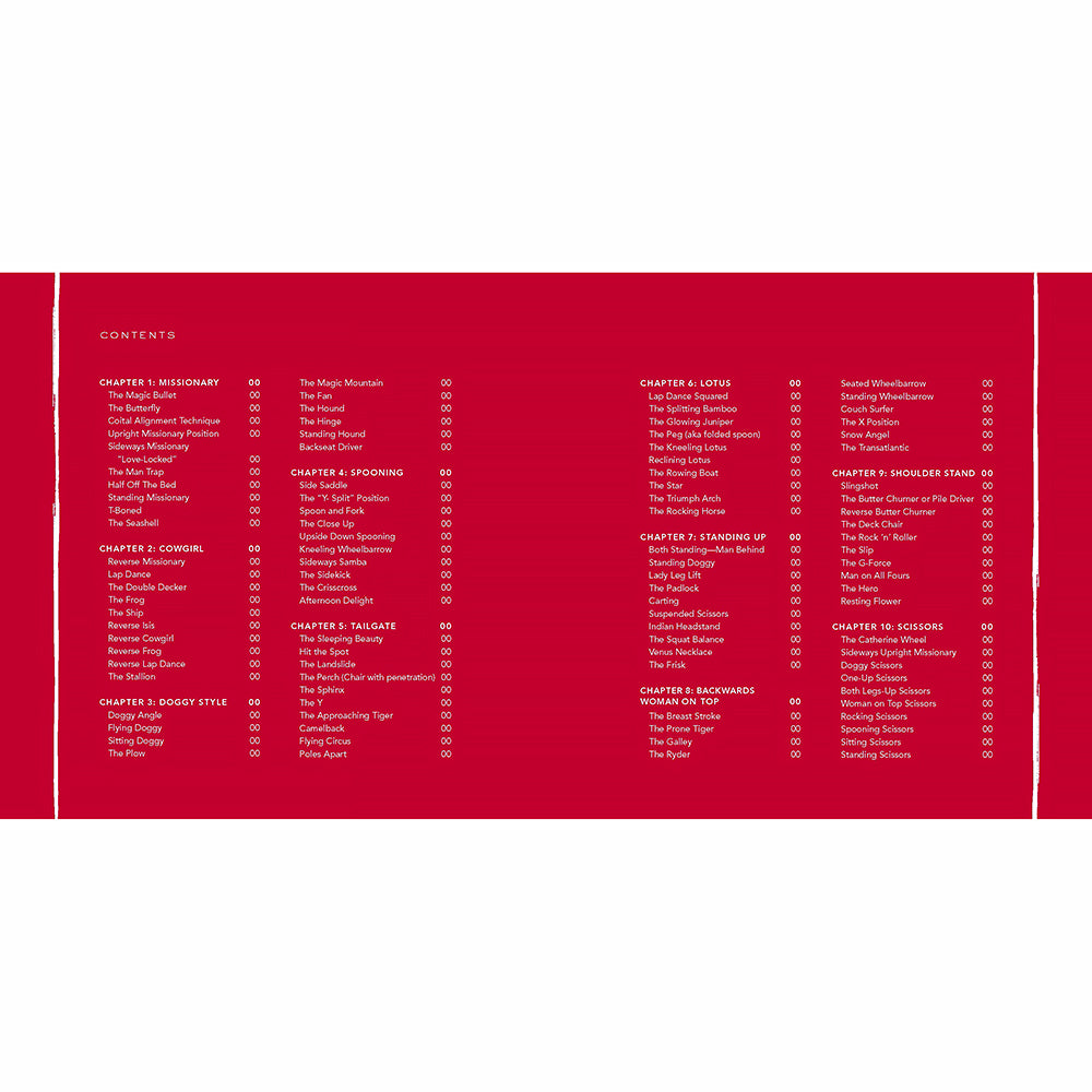 CLASSIC SEX POSITIONS REINVENTED