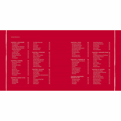 CLASSIC SEX POSITIONS REINVENTED