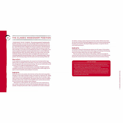 CLASSIC SEX POSITIONS REINVENTED