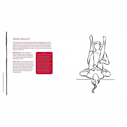 CLASSIC SEX POSITIONS REINVENTED