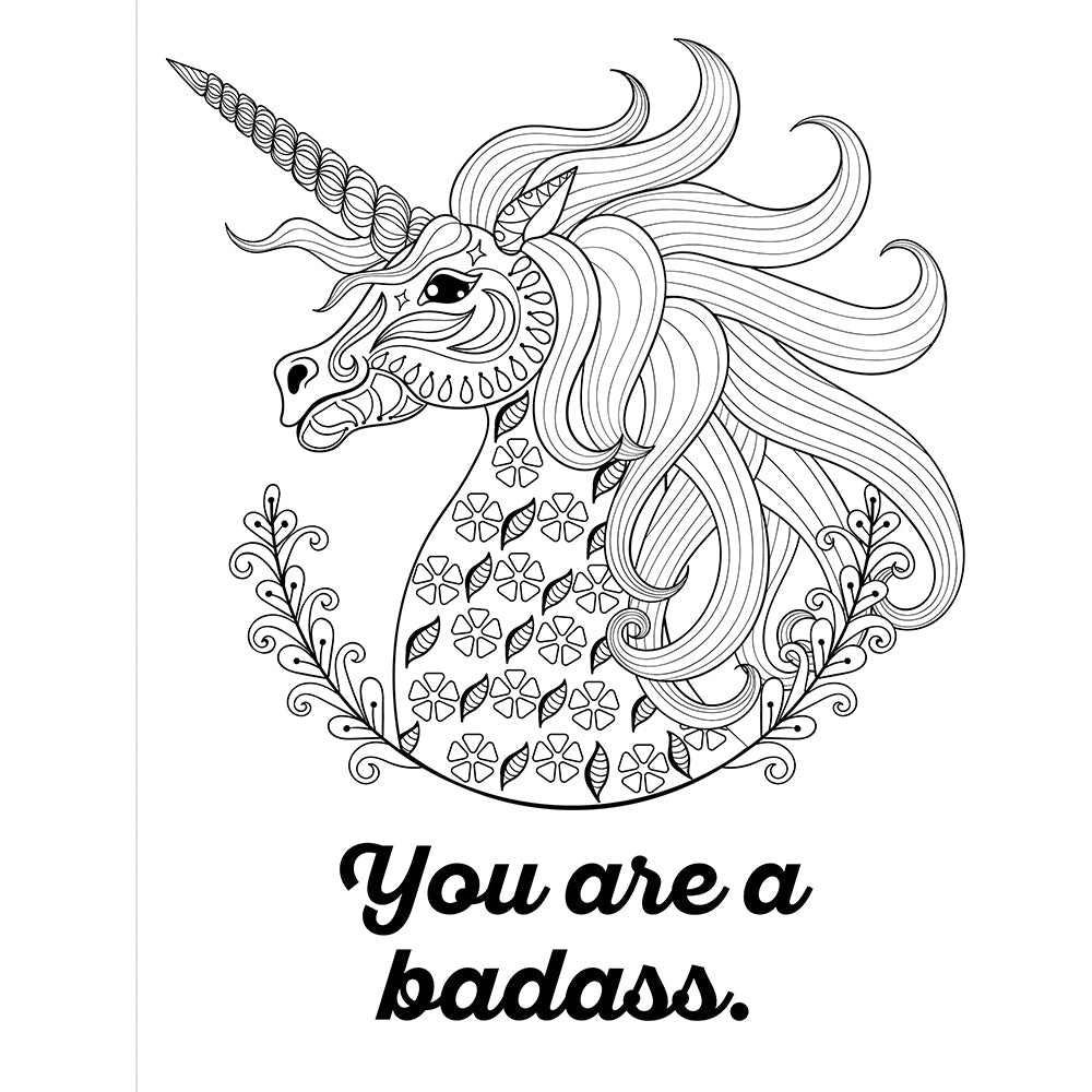 CHEER THE F*CK UP COLORING BOOK