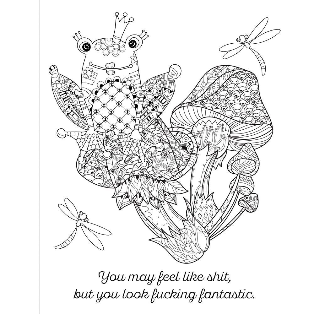 CHEER THE F*CK UP COLORING BOOK