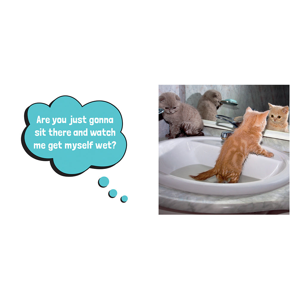 WET PUSSIES: HILARIOUS SNAPS OF DAMP CATS