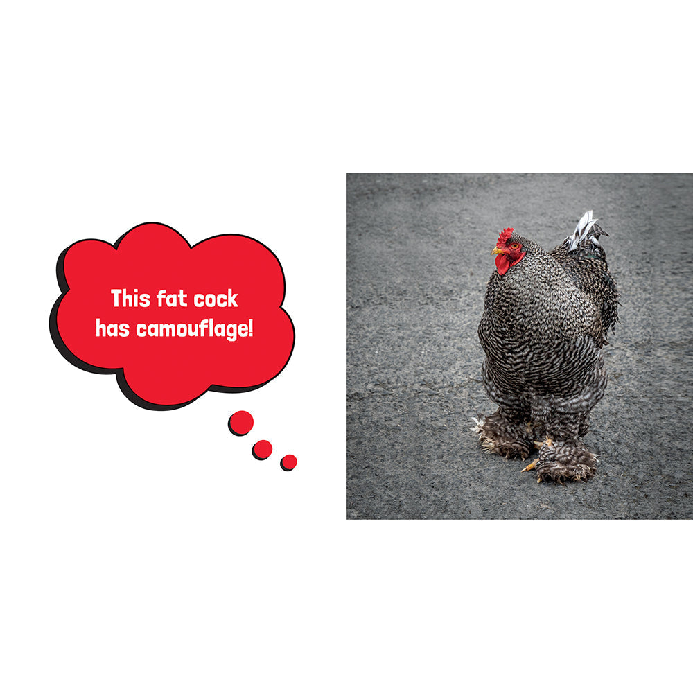 BIG COCKS: HILARIOUS SNAPS OF PROMINENT POULTRY