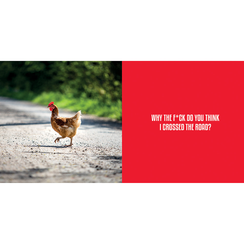 BIG COCKS: HILARIOUS SNAPS OF PROMINENT POULTRY